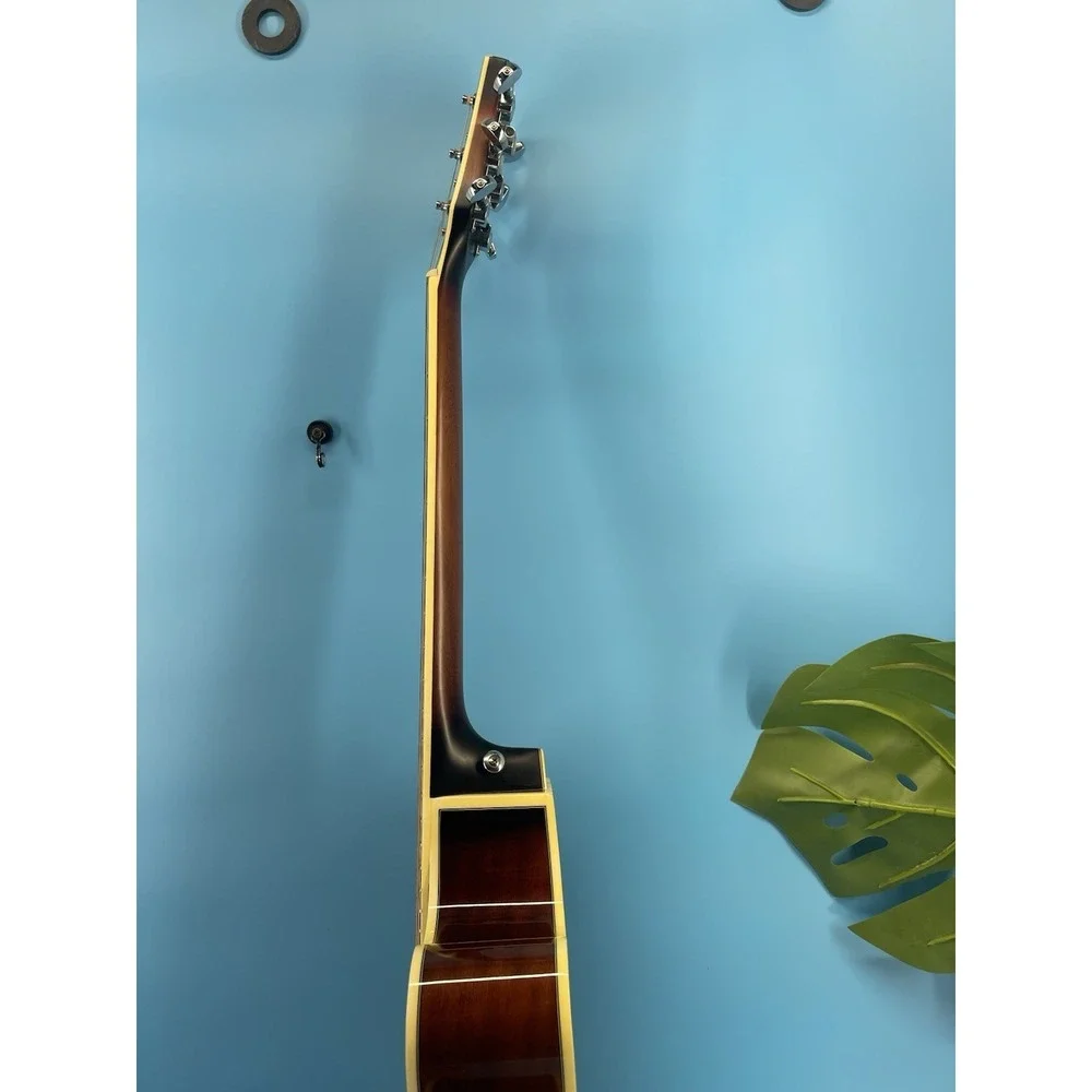 Beautiful Ibanez AEG10II-VS-R3-01 Acoustic Electric Guitar + Case